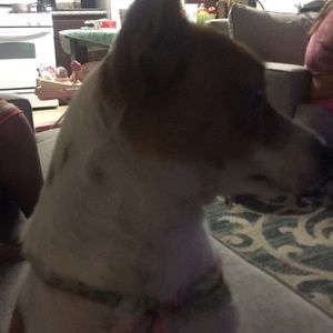 Meet your Posher, Jashelle